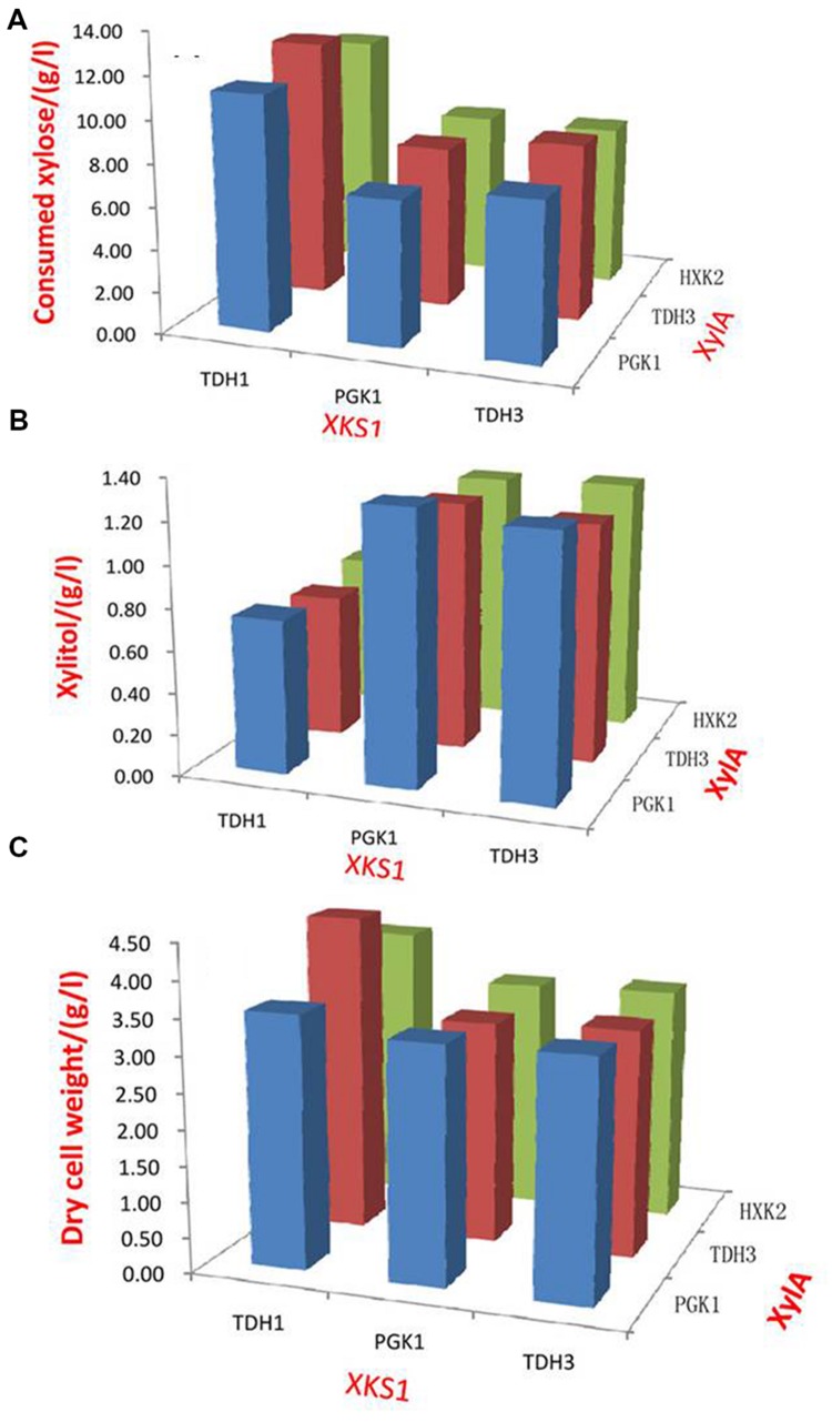 FIGURE 1