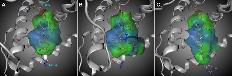 Fig 3