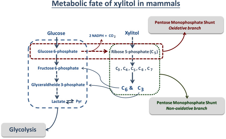 Fig. 2