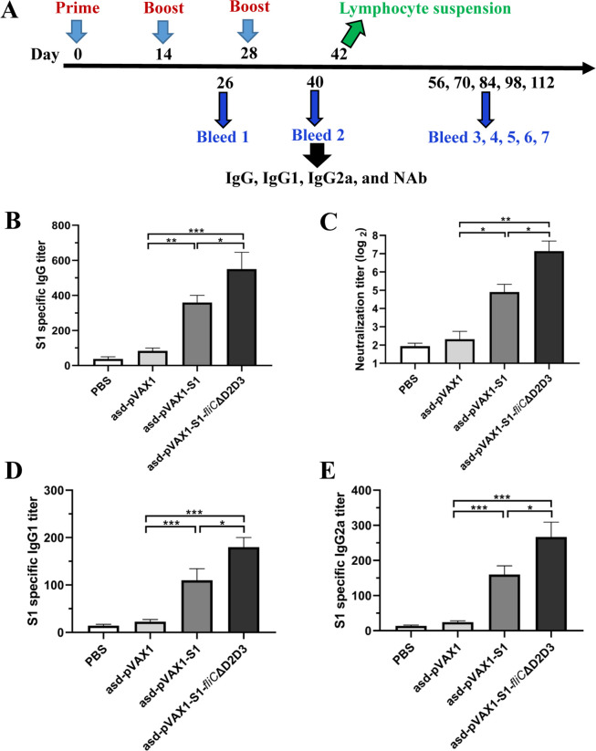 FIG 3