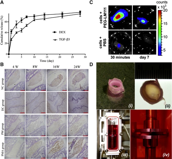 FIG. 7.