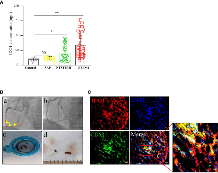 Figure 2