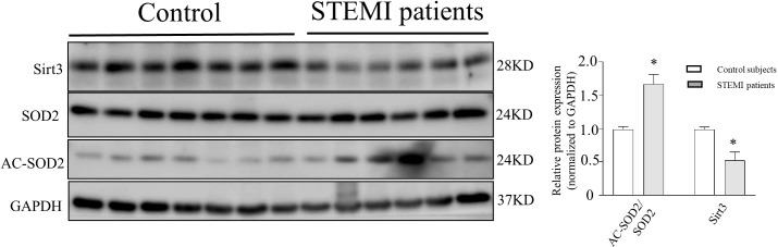 Figure 7