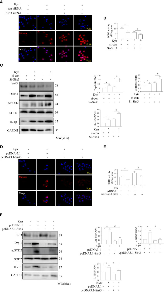 Figure 6