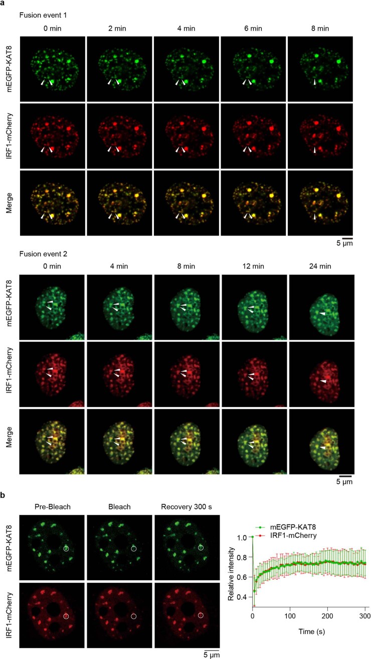 Extended Data Fig. 5