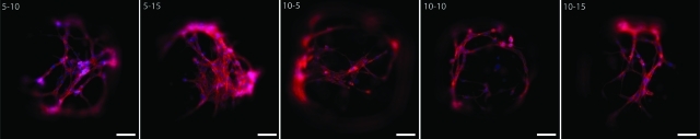 FIG. 6.