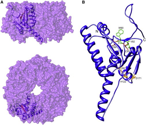 Figure 3