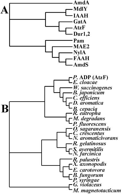 FIG. 6.