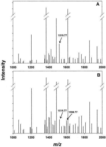 FIG. 5.