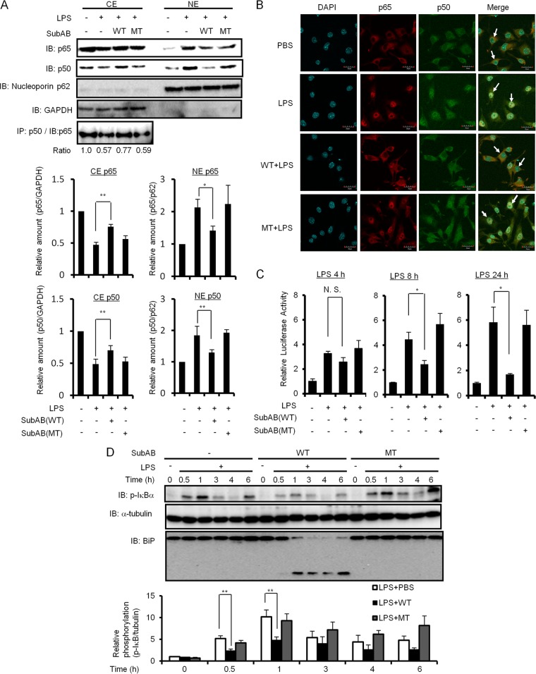 Fig 4