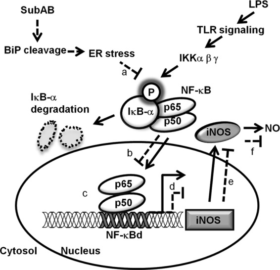 Fig 8