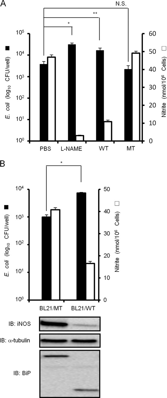 Fig 7