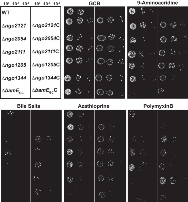 FIG 8