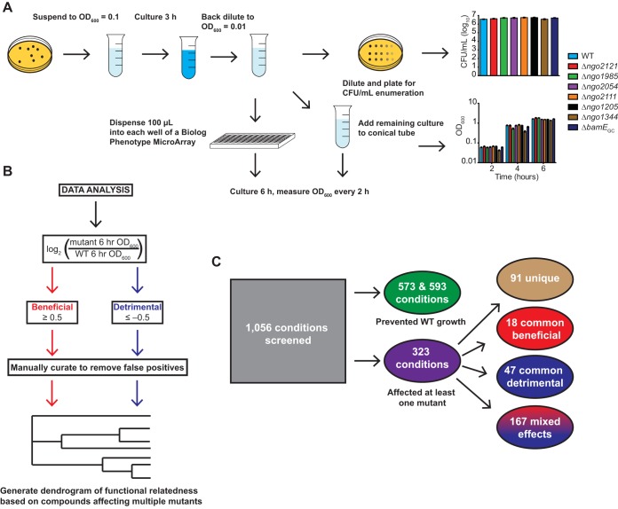 FIG 3