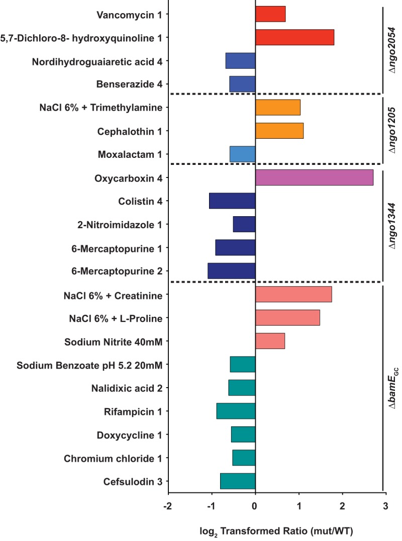 FIG 6