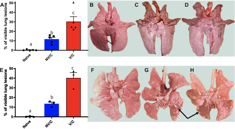 FIG 3