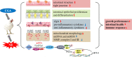 Image, graphical abstract
