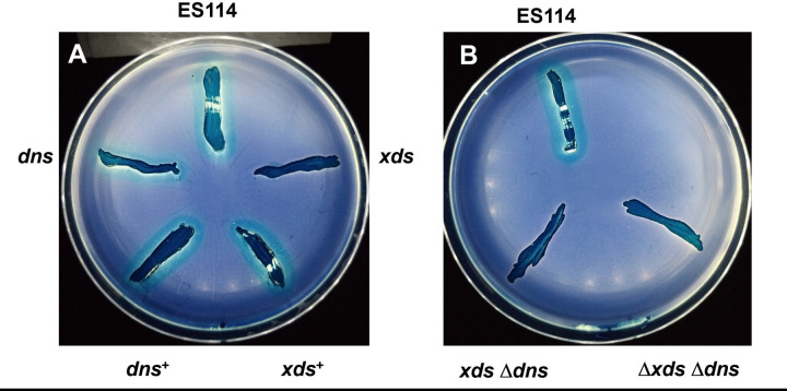 Fig 6