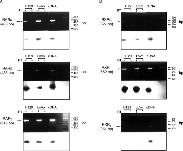 Figure 2  