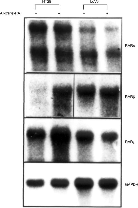 Figure 3  