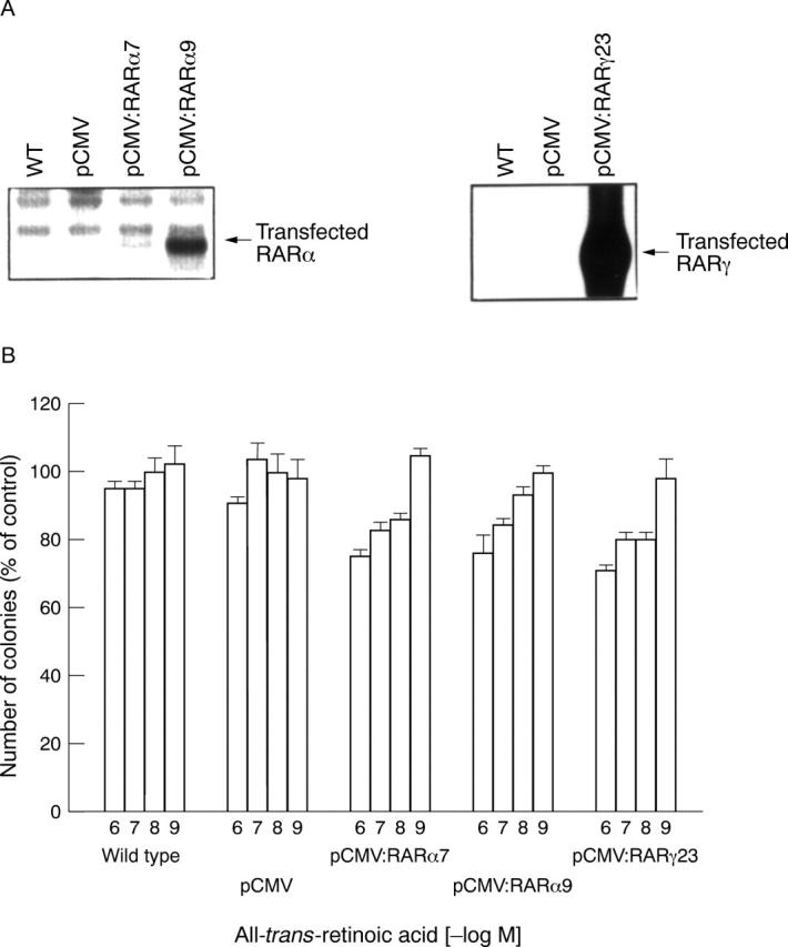 Figure 6  