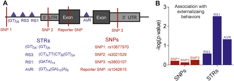 Fig. 1: