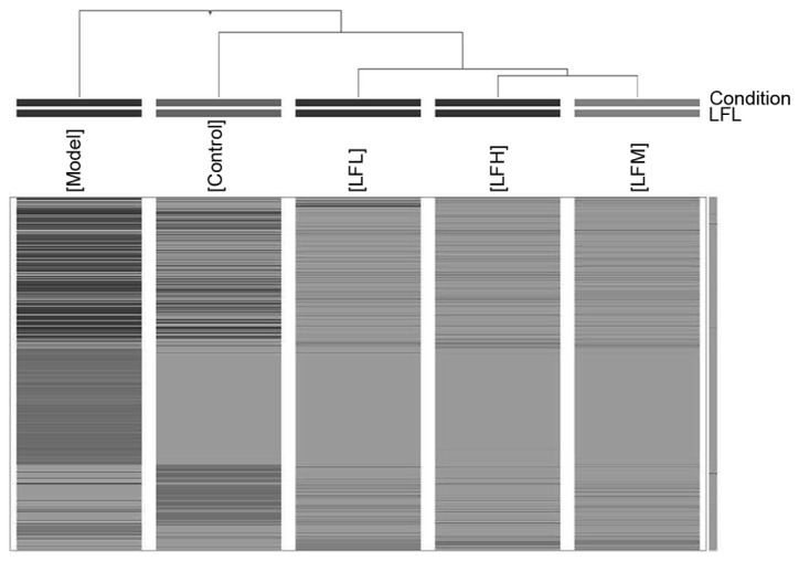 Figure 5.