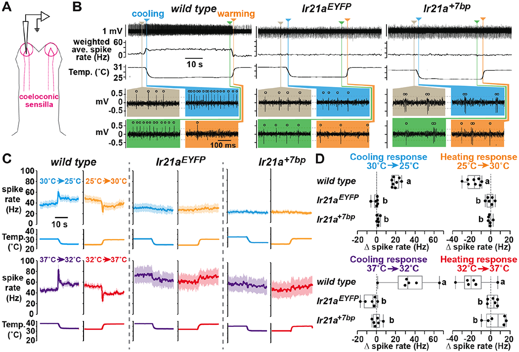 Fig. 2: