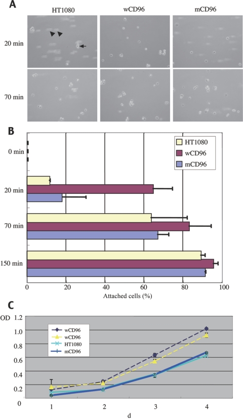 Figure  3. 