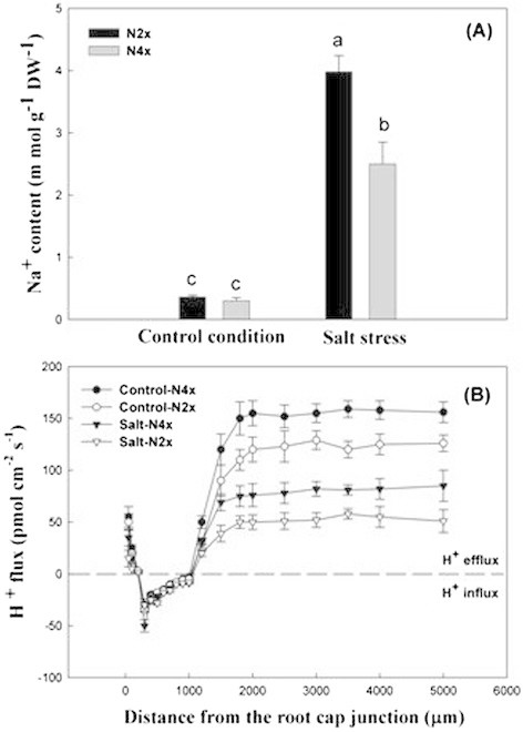 Figure 7