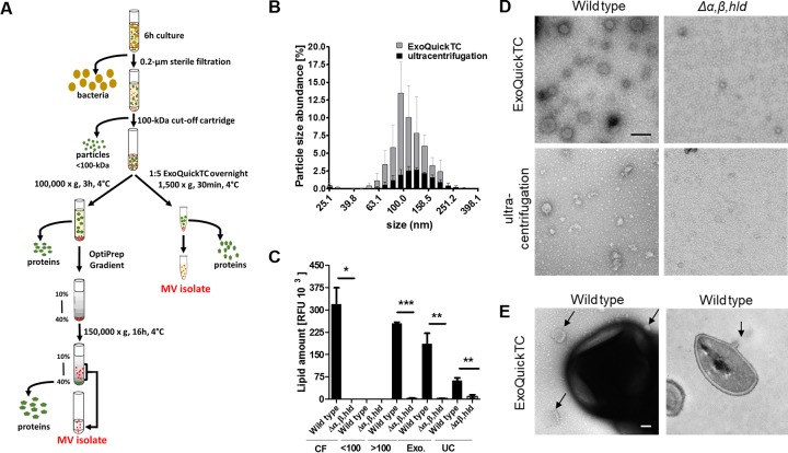 FIG 2