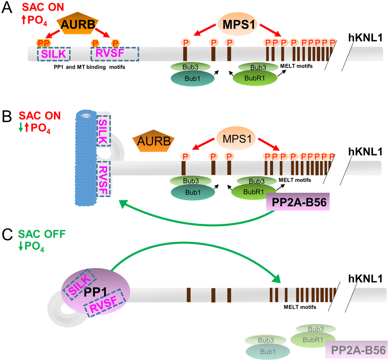 Figure 6;