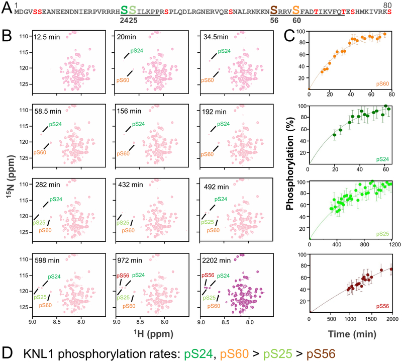 Figure 3: