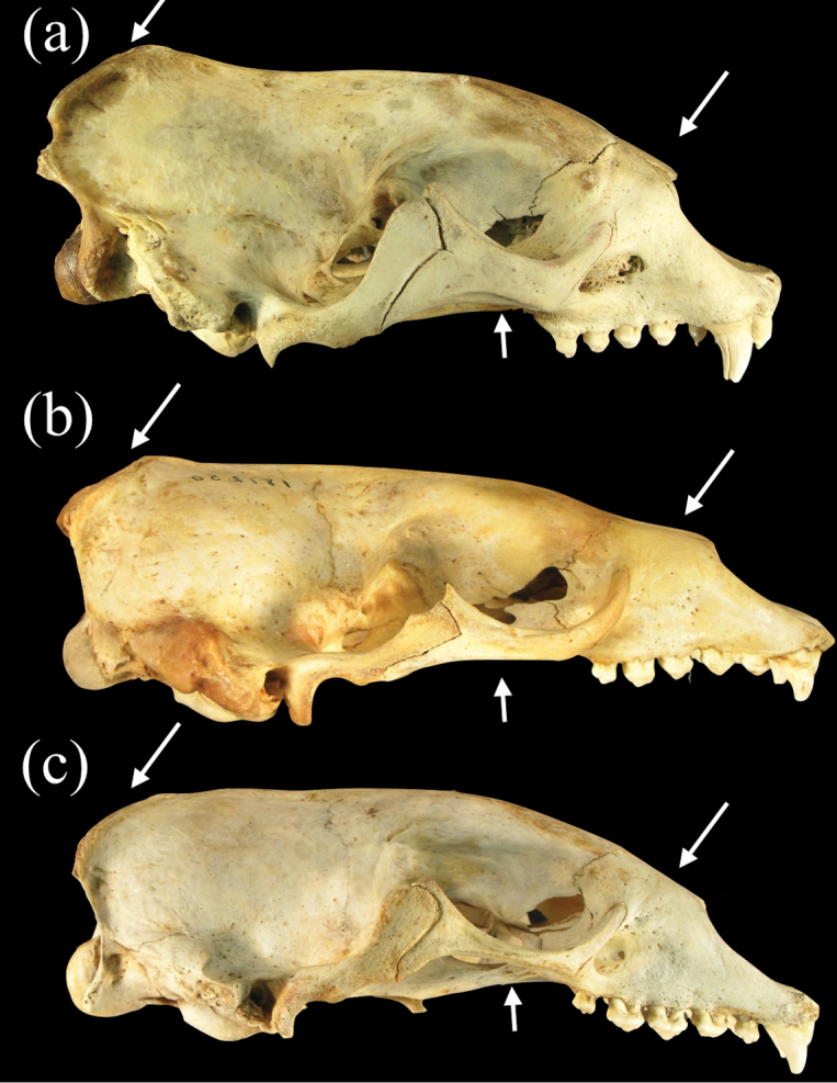 Figure 5.