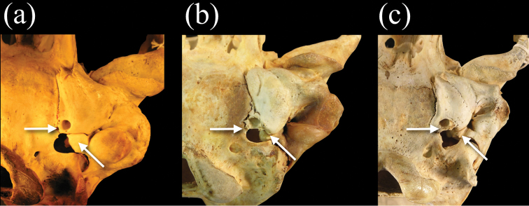 Figure 9.