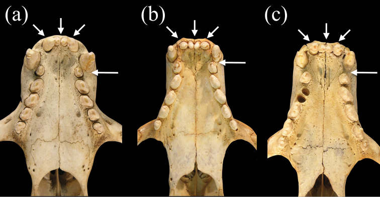 Figure 6.