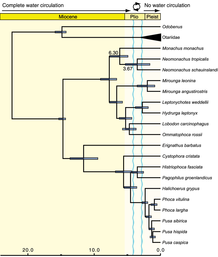 Figure 3.