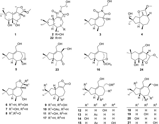 Fig. 1