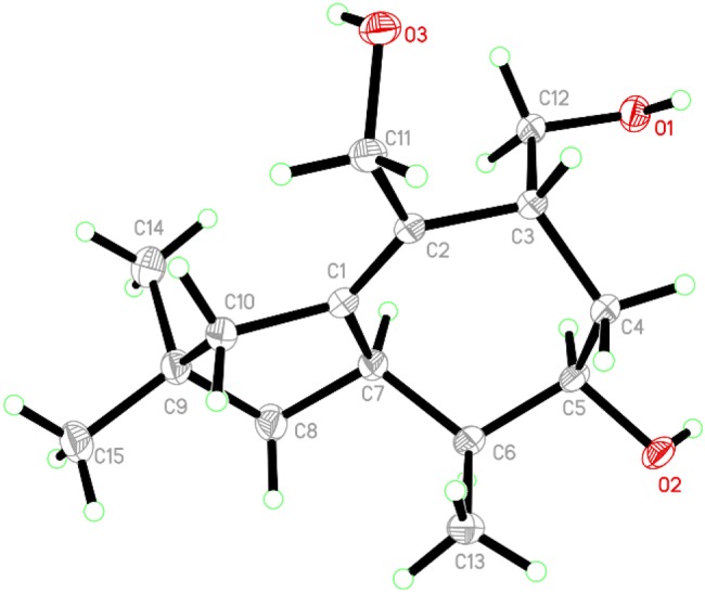 Fig. 5