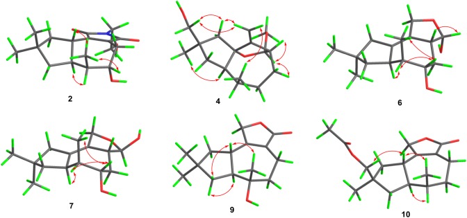 Fig. 4