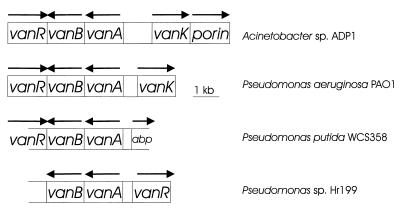 FIG. 5