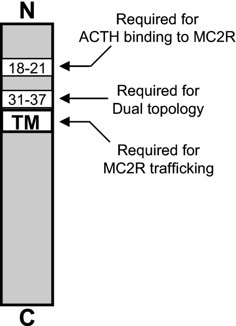 FIGURE 7.