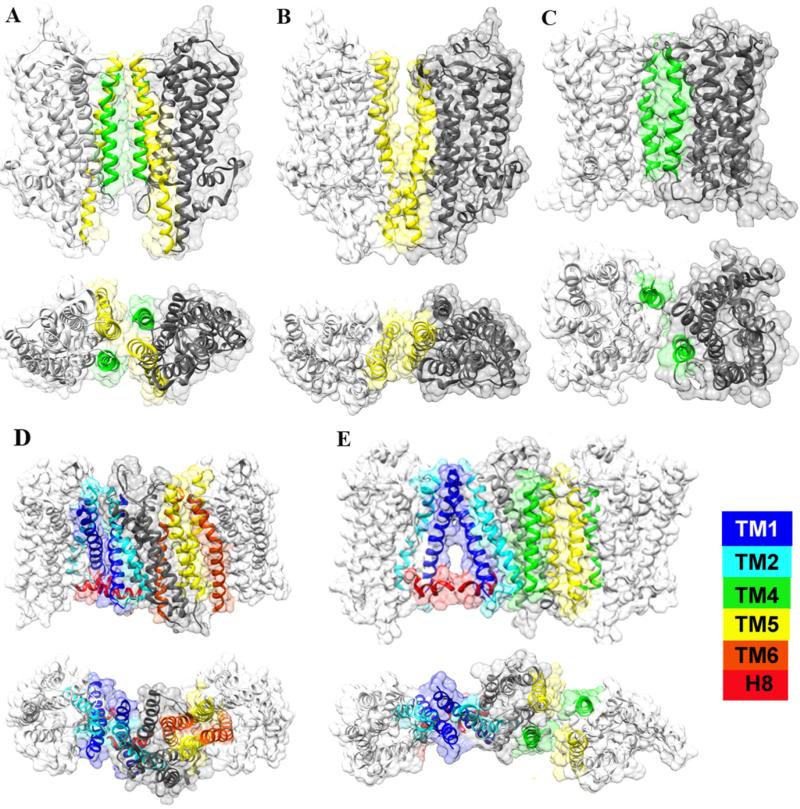 Fig. 1