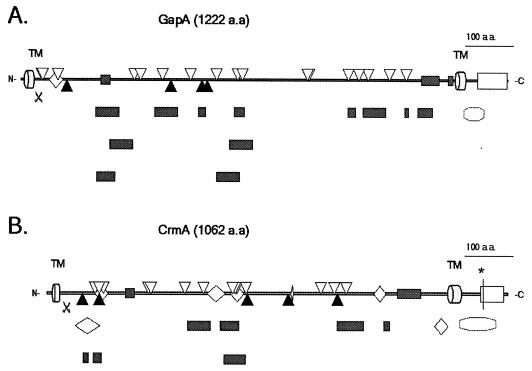 FIG. 5.