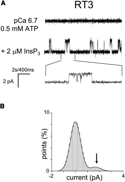 FIGURE 4