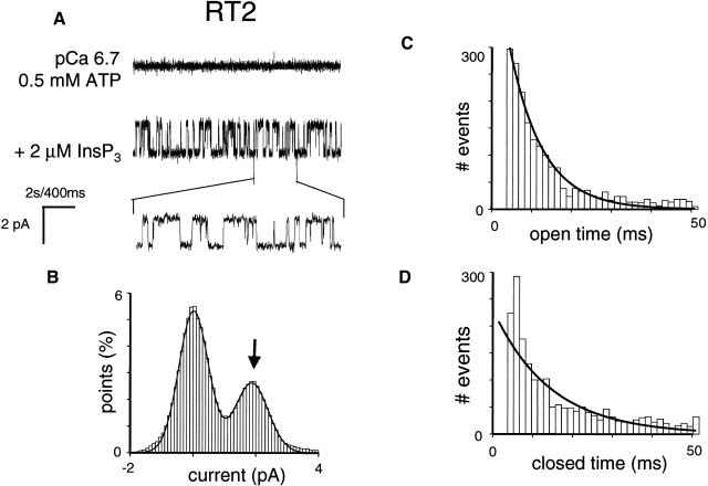 FIGURE 3