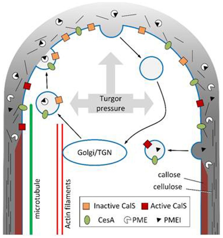 Figure 6.