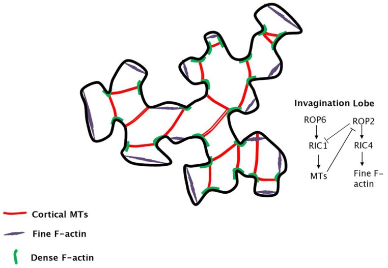 Figure 5.