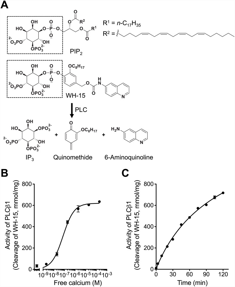 Fig 1