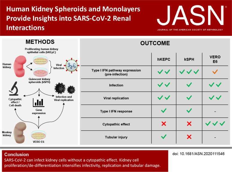 graphic file with name ASN.2020111546absf1.jpg